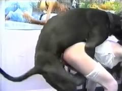 Teenage beastiality sex tape made at home